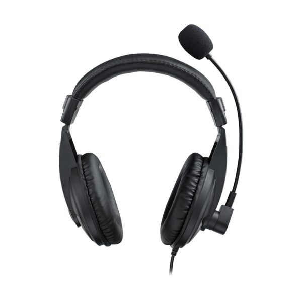 RAPOO H150 Stereo Wired Over Ear Headphones with Microphone Noise-Reduction, USB, Pc/Mac/Laptop/Chrome OS
